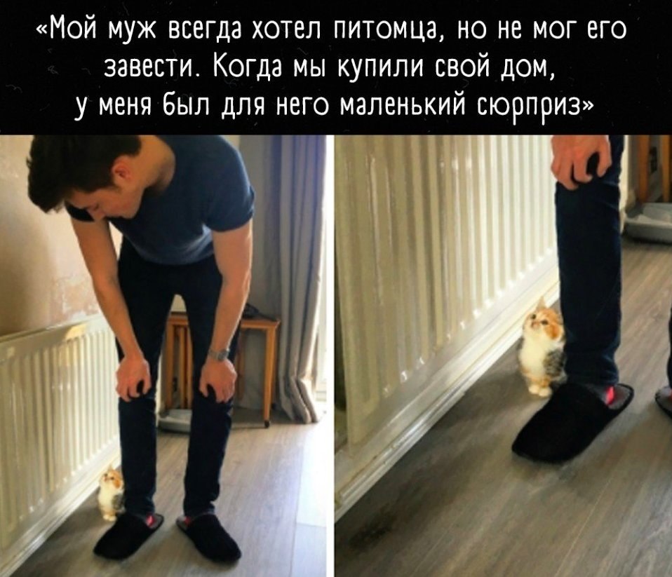  ,    !