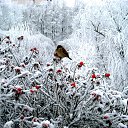 ���� �����, �����, 59 ��� - ��������� 17 ����� 2021 � ������ ���� ����������