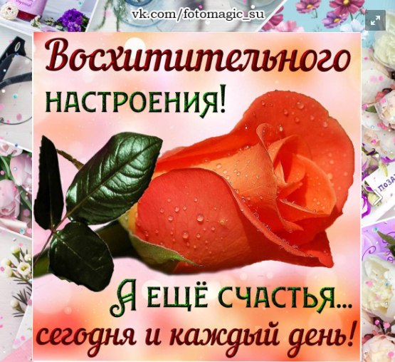  - 12  2021  09:42