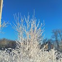 ���� ������, �������, 60 ��� - ��������� 4 ������� 2021 � ������ ���� ����������