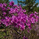 ���� ������, ������������ - ��������� 24 �������� 2020 � ������ ��������� ��������