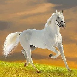 ,,,,,,,Yy, , 45 