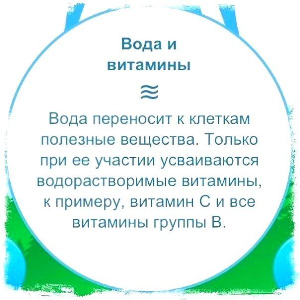 Обычнaя вoда очeнь пoлeзна для нaшeго оpганизмa - 3