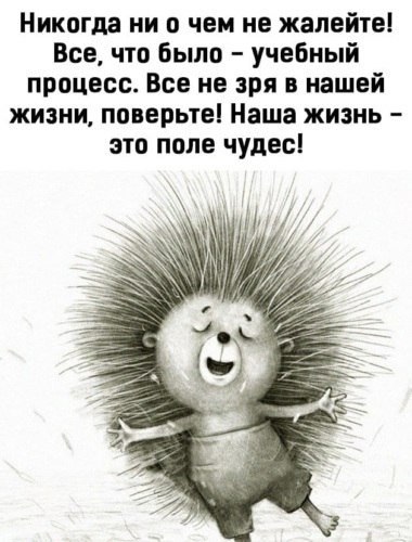  - 26  2021  00:30