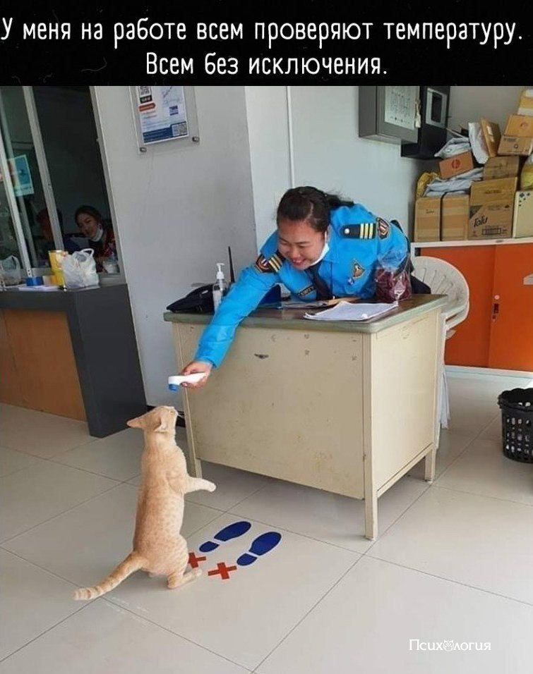     !
