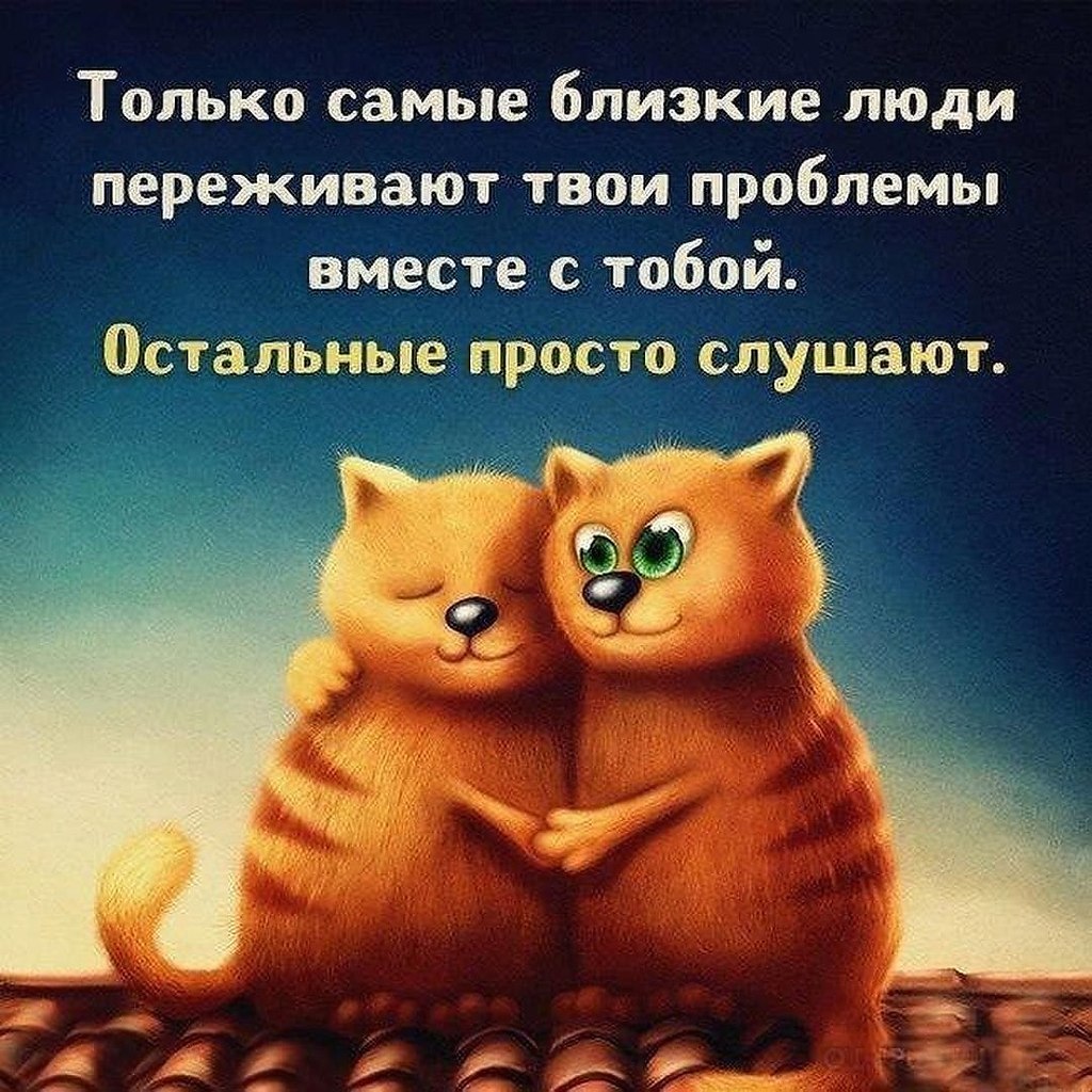   ,    . - 29  2020  01:15