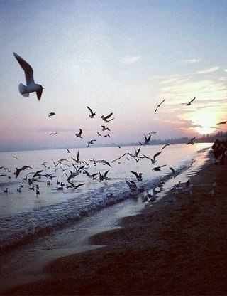 Ошибок не бывает. События, которые вторгаются в нашу жизнь, какими бы неприятными для нас они ни ...