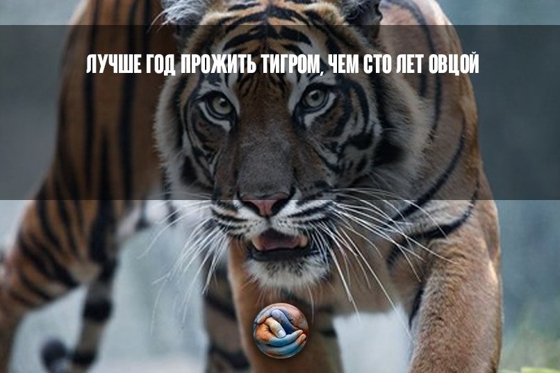 Bce o ece  e oo