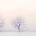  , , 75  -  1  2021    