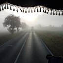���� �������, �����������, 55 ��� - ��������� 8 ������� 2020 � ������ ���� ����������