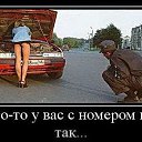 ���� �����, ������ - ��������� 14 ������� 2020 � ������ ��� ���������� � ����� ��������