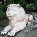  , -, 42  -  22  2020    2020