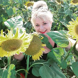 ���� ����, ���������, 44 ���� - ��������� 22 �������� 2020