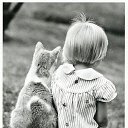 ���� ��������, �������� - ��������� 10 ������� 2020 � ������ ���� ����������