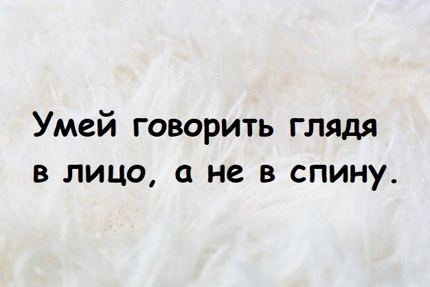    -  . - 19  2021  18:31