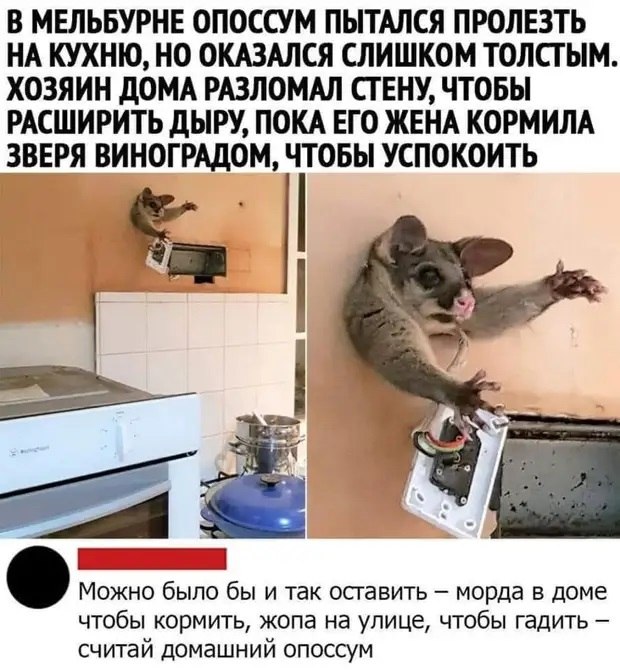  - 20  2021  18:53