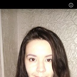 ����, 38 ���, ���������