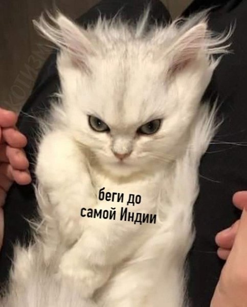Когда кто-то осмелился растормошить укладку, которую ты делала три часа - 5