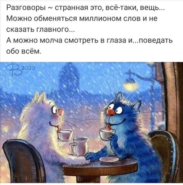   - 6  2020  16:00