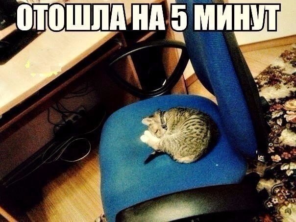    - 8  2020  19:09