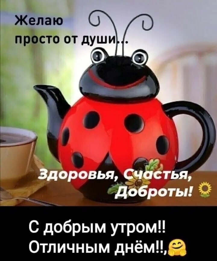   ,    . - 8  2021  21:35 - 10