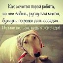 ���� � &atilde; R &atilde; M E L � � &atilde;, ������� - ��������� 6 ������� 2020 � ������ ������ ��������