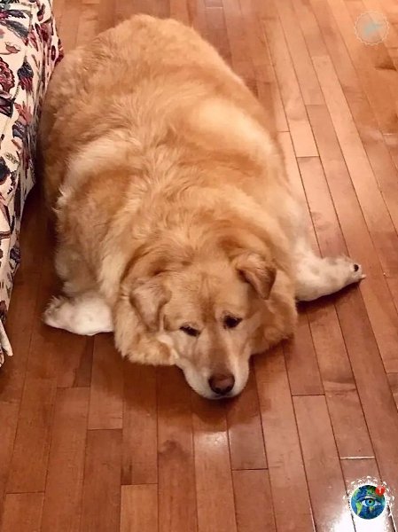 p o pacop oo ap o 79   p c, o pap  oop oo ... - 4