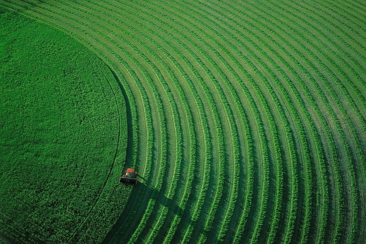 ,   . Yann Arthus-Bertrand - 3