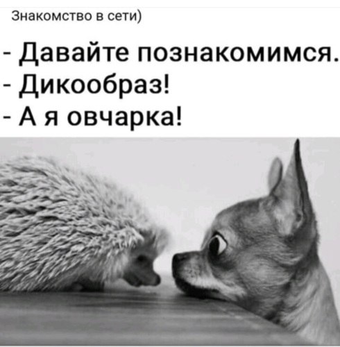   ! - 13  2020  08:51