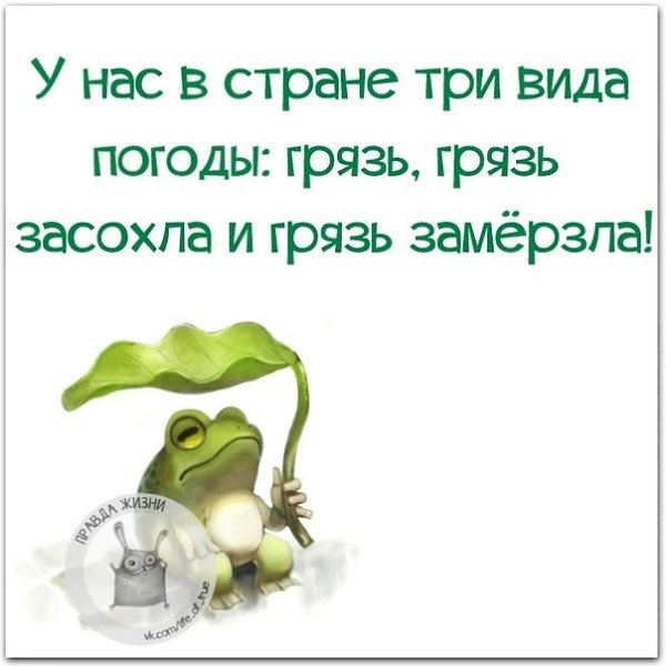   - 6  2021  13:12