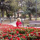 ���� �����, �������, 55 ��� - ��������� 26 �������� 2020 � ������ ������ ��������