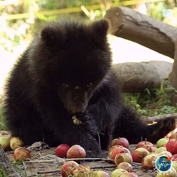 a aa a poa o  a aa p c c p aa  p cac ... - 7