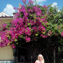 ���� ������, ������ - ��������� 18 ������ 2020