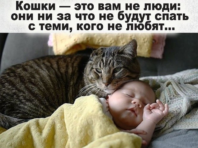   ! - 25  2020  16:01