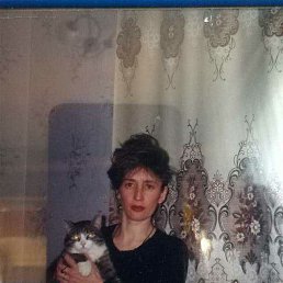 ���, ����, 58 ���