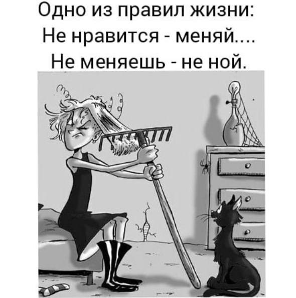   - 11  2020  10:46