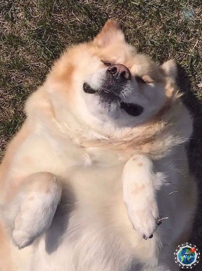 p o pacop oo ap o 79   p c, o pap  oop oo ...