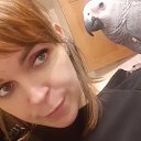 ���� �������, ������, 41 ��� - ��������� 17 ������� 2020