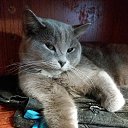 ���� ���������, ��������, 51 ��� - ��������� 25 ������ 2021 � ������ ���� ����������