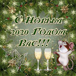���� ������., ��������, 41 ��� - ��������� 11 ������� 2020