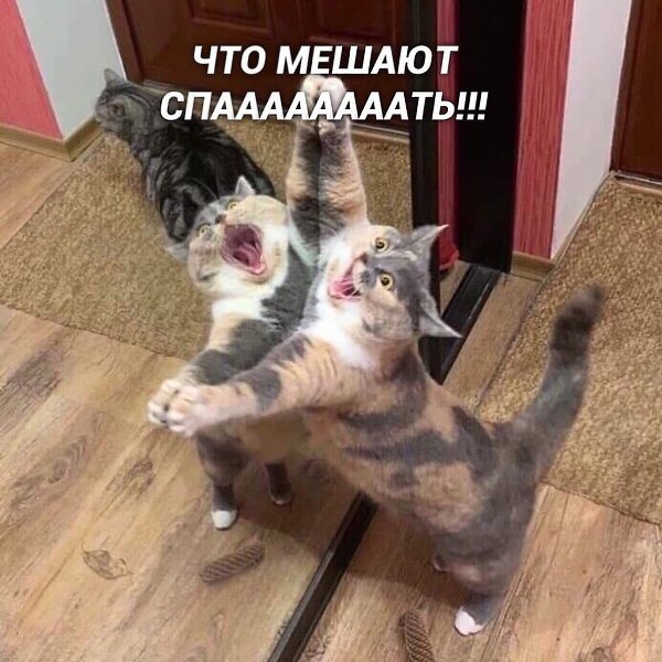    - 4
