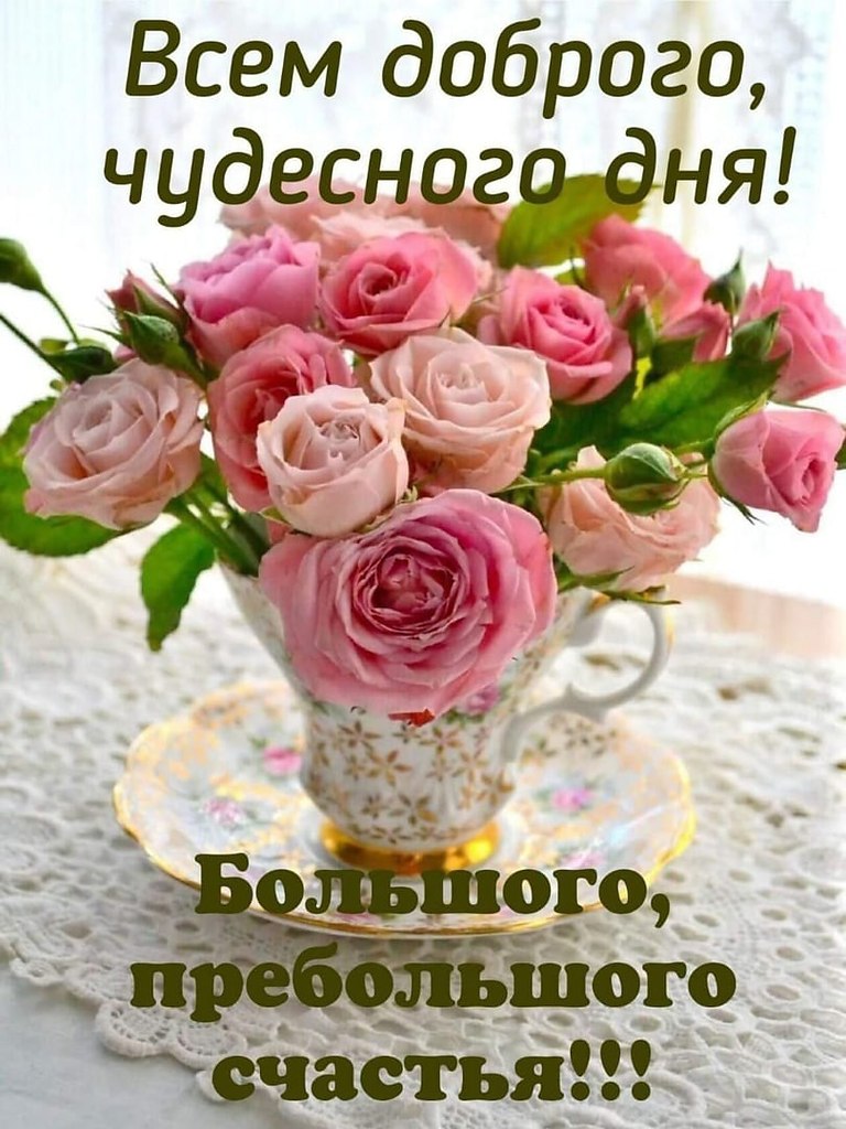   ,    . - 17  2020  23:40 - 2