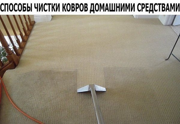 1. Пищевая сода. Разбрызгать раствор соды по ковру или ковровому покрытию на 30 минут. Далее ...