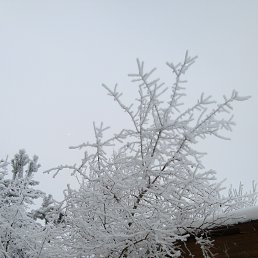 ���� ��������, ������ - ��������� 15 ����� 2021