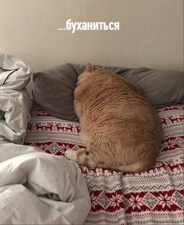    . . - 2