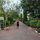  , , 53  -  7  2020    2020