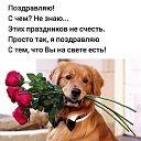 ���� ������, ������, 56 ��� - ��������� 3 �������� 2020 � ������ ���� ����������
