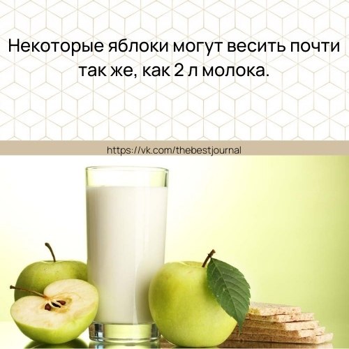 BEST | �����, ���������, ������ - 8 ����� 2021 � 23:20