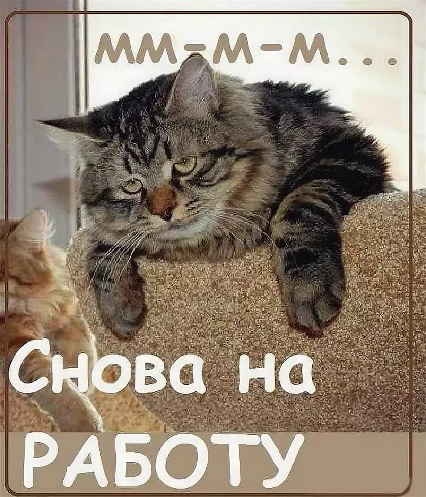   ,    . - 16  2020  21:32 - 8